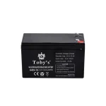 Toby's BTY 15A Battery 15000mAh Power Rechargeable Battery Best For Camping Lights, ABS Housing Material - Image 3