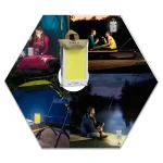 Tobys CRL N12 Multi-Functional Car Repair Light 12V and 24V Dual Voltage Operating Light With Magnetic Base and Back - Image 4