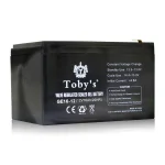 Toby's BTY 12A Battery 12000mAh Power Rechargeable Battery Best For Camping Lights, ABS Housing Material - Image 7